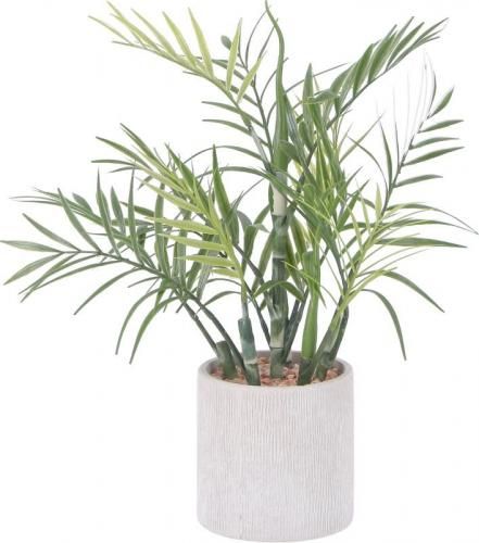 [C/D:41130] ե꡼ ơ֥䥷 ڡѡݥå