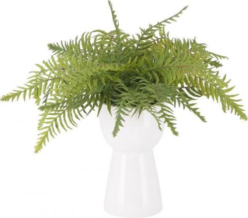 [C/D:41131] ե꡼  ߥåݥå