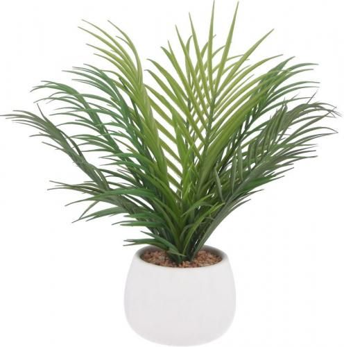 [C/D:41132] ե꡼ 䥷 ߥåݥå