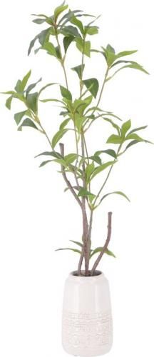 [C/D:41133] ե꡼ ⥯ ߥåݥå