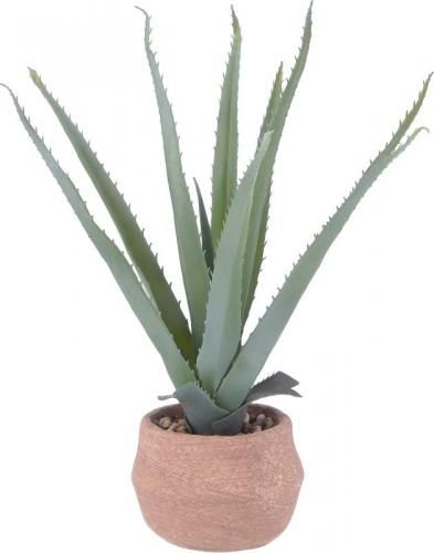 [C/D:41134] ե꡼   ȥݥå