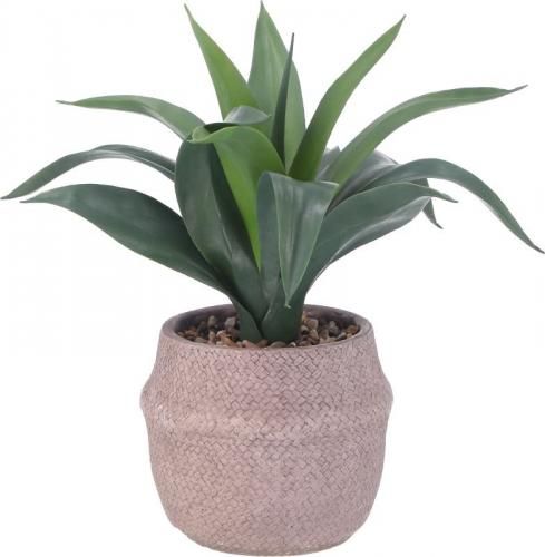 [C/D:41135] ե꡼  ȥݥå