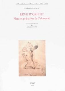 Rêve d'Orient : plans et scénarios de Salammbô