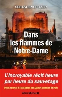 Dans les flammes de Notre-Dame