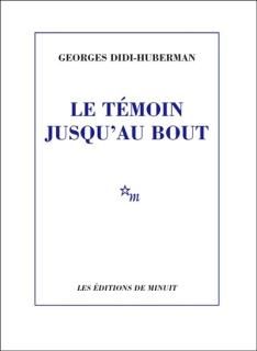 Le Témoin jusqu'au bout : une lecture de Victor Klemperer