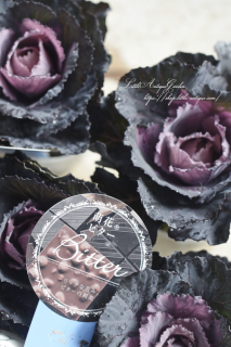 ⥫ϥܥ˨֥ӥפäȥåղð<img class='new_mark_img2' src='https://img.shop-pro.jp/img/new/icons3.gif' style='border:none;display:inline;margin:0px;padding:0px;width:auto;' />