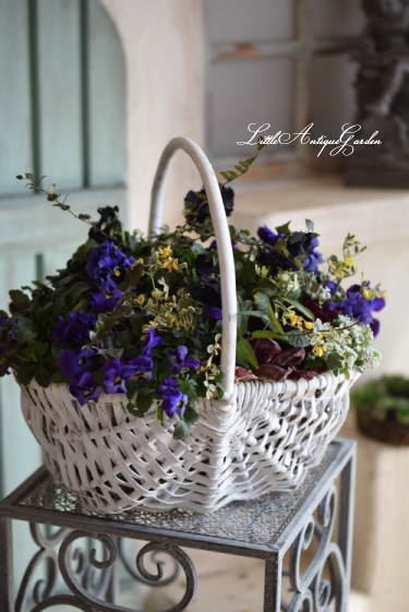 寄せ植え ギャザリング- LittleAntique*Garden~リトル 寄せ植え ギャザリング- LittleAntique*Garden~リトル