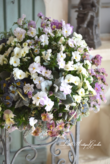 寄せ植えハンギングバスケット Littleantique Garden リトルアンティーク ガーデン 寄せ植えハンギングバスケット Littleantique Garden リトルアンティーク ガーデン