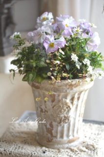 LittleAntiqueGarden󤻿㥶No.37ӡͥ쥬ȥӥ