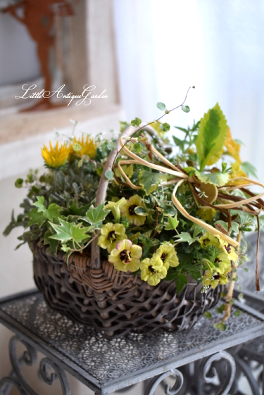 寄せ植え ギャザリング- LittleAntique*Garden~リトル 寄せ植え ギャザリング- LittleAntique*Garden~リトル