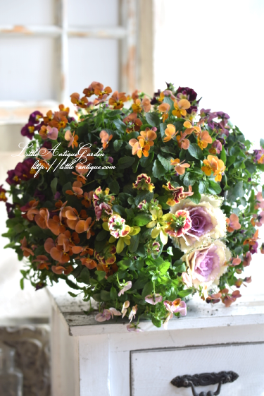 寄せ植えハンギングバスケット Littleantique Garden リトルアンティーク ガーデン 寄せ植えハンギングバスケット Littleantique Garden リトルアンティーク ガーデン