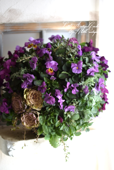 寄せ植えハンギングバスケット Littleantique Garden リトルアンティーク ガーデン 寄せ植えハンギングバスケット Littleantique Garden リトルアンティーク ガーデン
