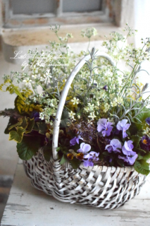 LittleAntiqueGardenΰƤ륢󥸥<br>֥饤ȥ֥롼β֤״󤻿㥶󥰢ͭ