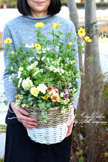 寄せ植え ガーデンギャザリング Littleantique Garden リトルアンティーク ガーデン