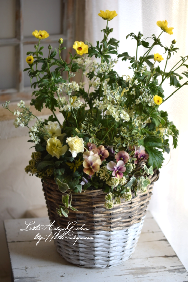 寄せ植え ガーデンギャザリング Littleantique Garden リトルアンティーク ガーデン 寄せ植え ガーデンギャザリング Littleantique Garden リトルアンティーク ガーデン