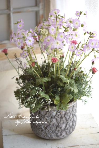寄せ植え ガーデンギャザリング- LittleAntique*Garden～リトル