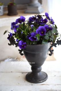 LittleAntiqueGardenΰƤ륢󥸥<br>֥֥ɥꥫȥ̡δ󤻿<br>ǥ󥮥㥶