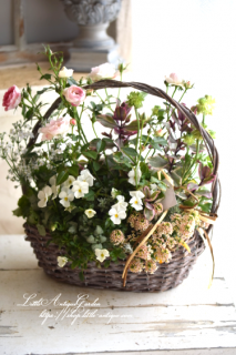 LittleAntiqueGardenΰƤ륢󥸥<br>֥ߥ˥Хȥʥβ֤󤻿<br>ǥ󥮥㥶