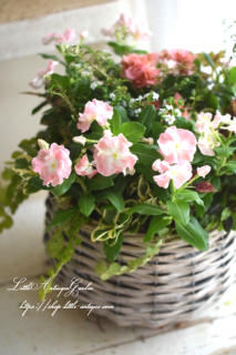 LittleAntiqueGardenΰƤ륢󥸥<br>֥˥˥ץꥳåȥեδ󤻿<br>ǥ󥮥㥶󥰡֤