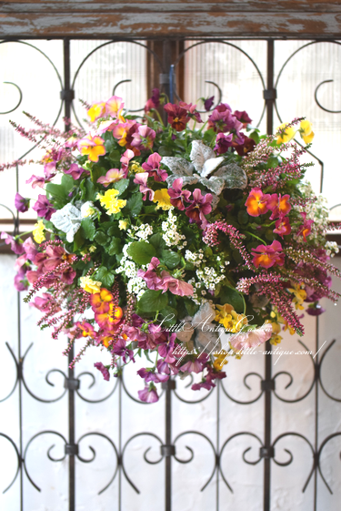 寄せ植えハンギングバスケット Littleantiquegarden リトルアンティークガーデン 寄せ植えハンギングバスケット Littleantiquegarden リトルアンティークガーデン