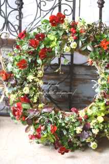 LittleAntiqueGardenΰƤ륢󥸥<br>֥꡼LL<br>ǥ󥮥㥶