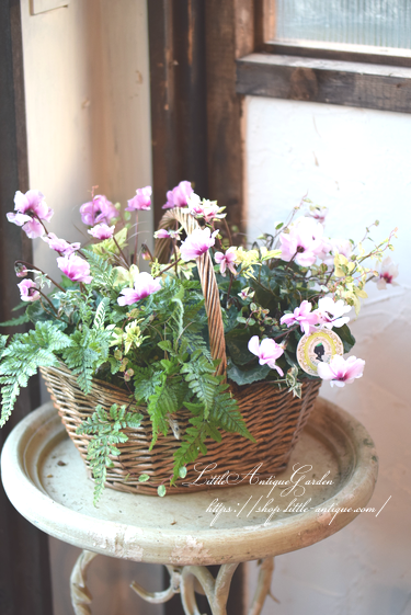 寄せ植え ギャザリング Littleantique Garden リトルアンティーク ガーデン 寄せ植え ギャザリング Littleantique Garden リトルアンティーク ガーデン