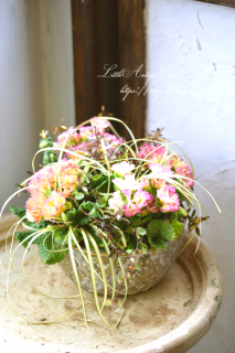 LittleAntiqueGardenΰƤ륢󥸥<br>ֹꥸꥢδ󤻿<br>ǥ󥮥㥶