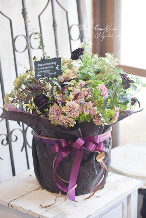 寄せ植え ギャザリング 育てるアレンジメント 庭ギャザ Littleantiquegarden リトルアンティークガーデン 寄せ植え ギャザリング 育てるアレンジメント 庭ギャザ Littleantiquegarden リトルアンティークガーデン