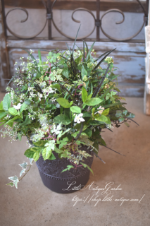 LittleAntiqueGardenΰƤ륢󥸥<br>Ȭź餭ڥ󥿥饤ȥ饤ƥΤΡȥδ󤻿<br>ǥ󥮥㥶