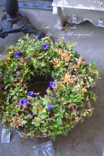LittleAntiqueGardenΰƤ륢󥸥<br>ȥ˥Υ꡼<br>ǥ󥮥㥶