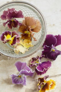 ݤΰӥ♡<br>֥եեꥢNo.16<img class='new_mark_img2' src='https://img.shop-pro.jp/img/new/icons3.gif' style='border:none;display:inline;margin:0px;padding:0px;width:auto;' />