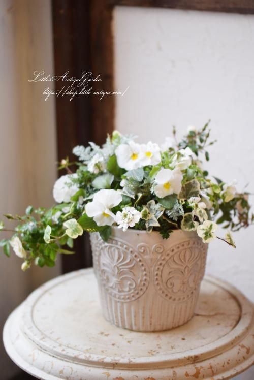寄せ植え ギャザリング Littleantiquegarden リトルアンティークガーデン