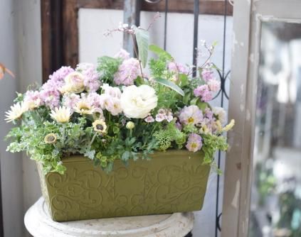 寄せ植え ギャザリング- LittleAntiqueGarden~リトル 寄せ植え ギャザリング- LittleAntiqueGarden~リトル