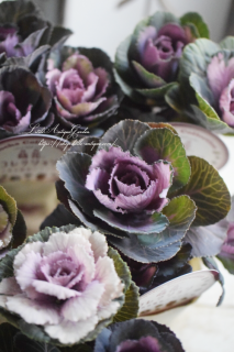 ⥫ϥܥ֡˨֥åͲİ㿧ղð