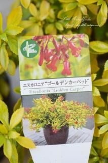 ˥ޤOKͥʪƤ֤֤餭ޤ♡