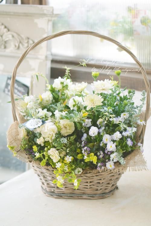 今話題のアイテムを 寄せ植え LittleAntiqueGarden～リトル ギャザリング- フラワーアレンジメント