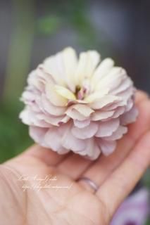 ʥ󥭥饹֥åꥢ<br>ƥ顼♡