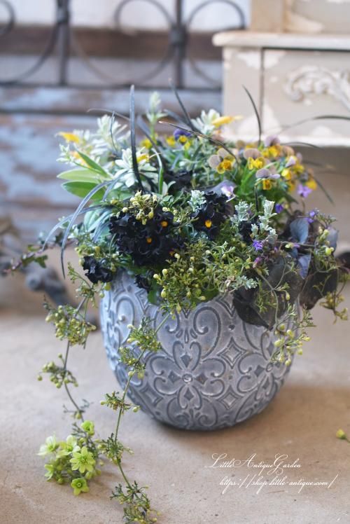 寄せ植え ギャザリング- LittleAntiqueGarden~リトル 寄せ植え ギャザリング- LittleAntiqueGarden~リトル