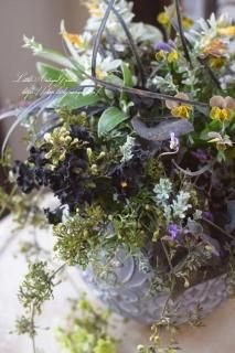 ʿͤӥȥޥڥȥ쥤ͥåʥ㥶󥰡Ƥ륢󥸥<br>󤻿㥶