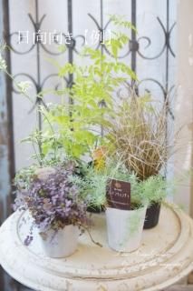 2000󤻿Ǥ꡼եȣåȡѡפѡ٤ޤ 