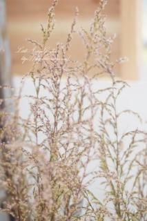 桼ѥȥꥦࡦ꡼եΤ褦ˤդդʤ֤餫桼ѥȥꥦ