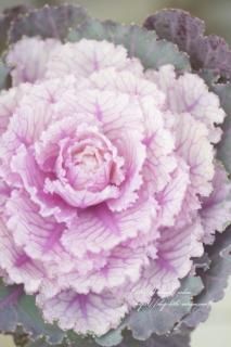 ϥܥݡʥޥˡͲİ̮͵Υ٥ղð♡