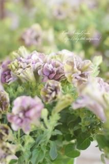 󥪥ꥸʥڥ˥֥󥵥󥫥󡦥Υ