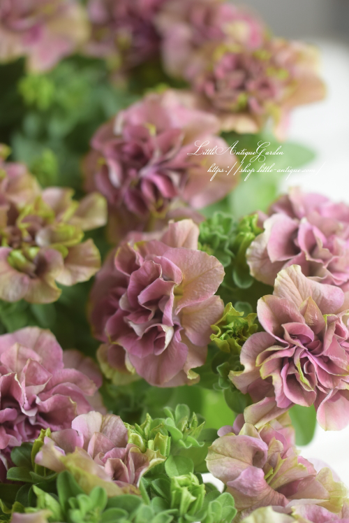 花日和さんオリジナルペチュニアベルチャーム- LittleAntiqueGarden