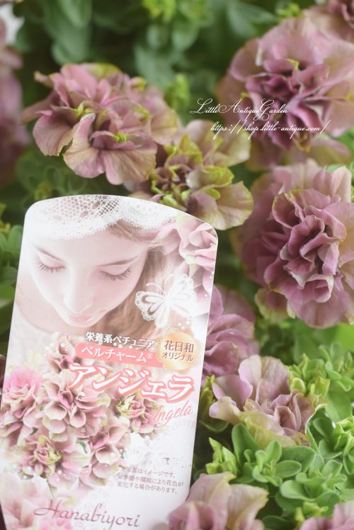 花日和さんオリジナルペチュニアベルチャーム- LittleAntiqueGarden