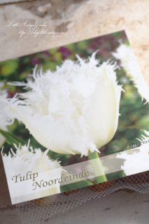 塼åסΡɥǡʣˡε庬֢ڤߤäե󥸤♡<img class='new_mark_img2' src='https://img.shop-pro.jp/img/new/icons42.gif' style='border:none;display:inline;margin:0px;padding:0px;width:auto;' />