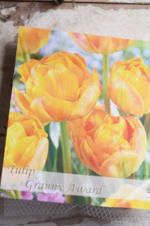 塼åסˡɡʣˡε庬֢Τ褦ʿκäץꥳåȥ♡<img class='new_mark_img2' src='https://img.shop-pro.jp/img/new/icons42.gif' style='border:none;display:inline;margin:0px;padding:0px;width:auto;' />