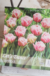 塼åסåĥ󥹡ʣˡε庬֢ۥ磻Ȥα꤬Ȭź餭ʼ<img class='new_mark_img2' src='https://img.shop-pro.jp/img/new/icons42.gif' style='border:none;display:inline;margin:0px;padding:0px;width:auto;' />