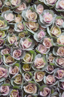 ߥղð֥ϥܥ󡦥꡼ॢƥ