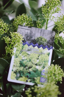 ߥ֥ե<br>դޤǤĤܤߤǵ³Ⱦǯ֤վޤǤ롪